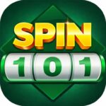 Spin 101